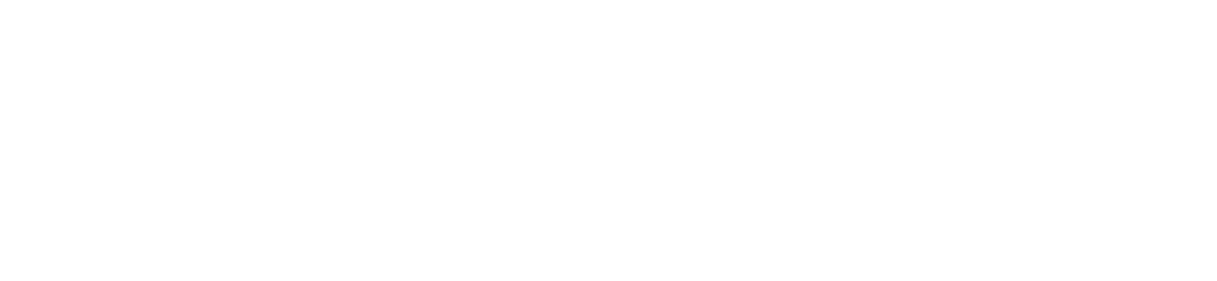 We Went Fast logo